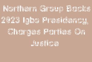 Northern Group Backs 2023 Igbo Presidency, Charges Parties On Justice