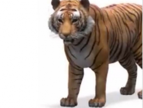 How to have the 3D Experience on Google with 3D animals