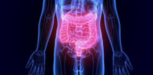 New Guidelines to help you manage Inflammatory Bowel Disease according to Harvard