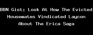 BBN Gist: Look At How The Evicted Housemates Vindicated Laycon About The Erica Saga