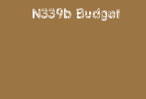 N339b Budget
