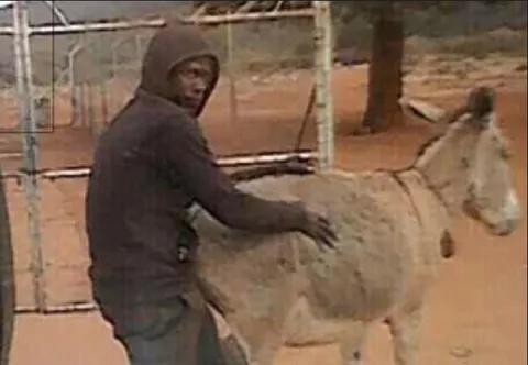Man Admitted In A Hospital After Having Sex With A Donkey.