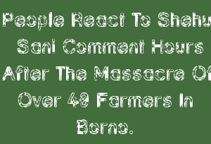 People React To Shehu Sani Comment Hours After The Massacre Of Over 40 Farmers In Borno.