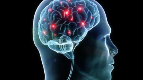 How To Train Your Brain To Remember