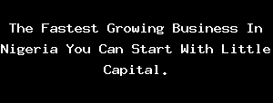 The Fastest Growing Business In Nigeria You Can Start With Little Capital.