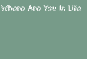 Where Are You In Life