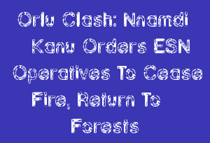 Orlu Clash: Nnamdi Kanu Orders ESN Operatives To Cease Fire, Return To Forests