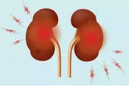 If You Want To Live Long, Stop Taking Excess of These 5 Things, They Harm Your Kidney