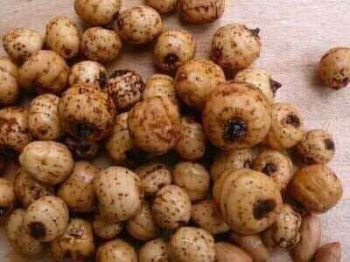 WONDERFUL HEALTH BENEFITS OF TIGER NUTS