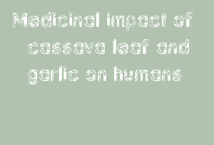 Medicinal impact of cassava leaf and garlic on humans