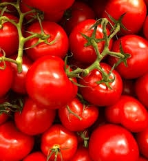 Key Things You Need To Know About The TOMATOES 1
