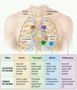 Your health is wealth.pdf