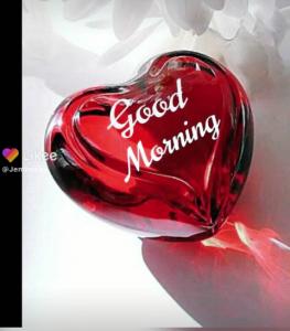 I Love You GIF.mp4