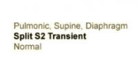 Heart Sounds 20 Pulmonary, Supine, Diaphragm, Spilt S2 Transient and Normal heart sounds.mp3
